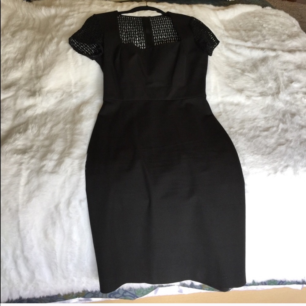 Roland Mouret • Banana Republic Dress